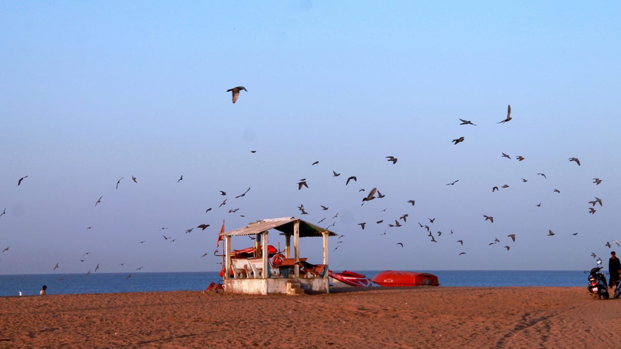 Mandvi Beach and Vijay Vilas Palace cab service